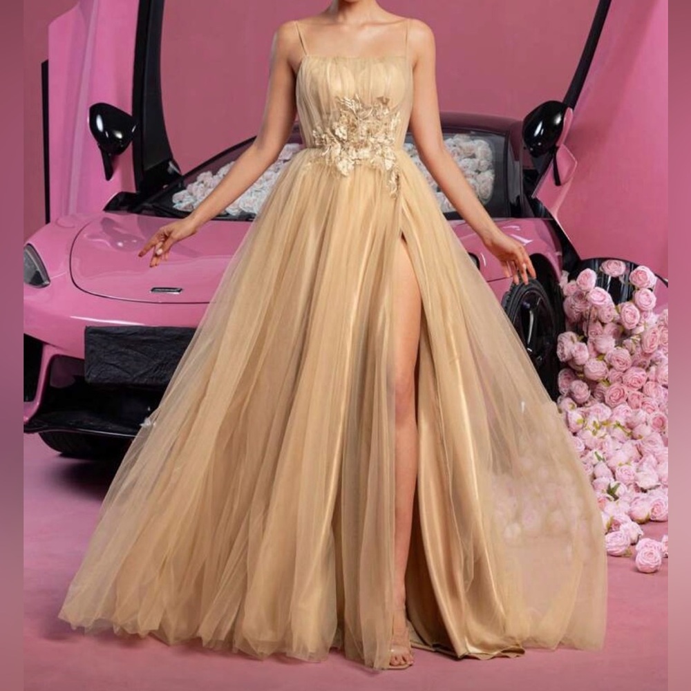#694 Champagne Corset, Tulle and Satin Gown:  Medium-Size 10/12